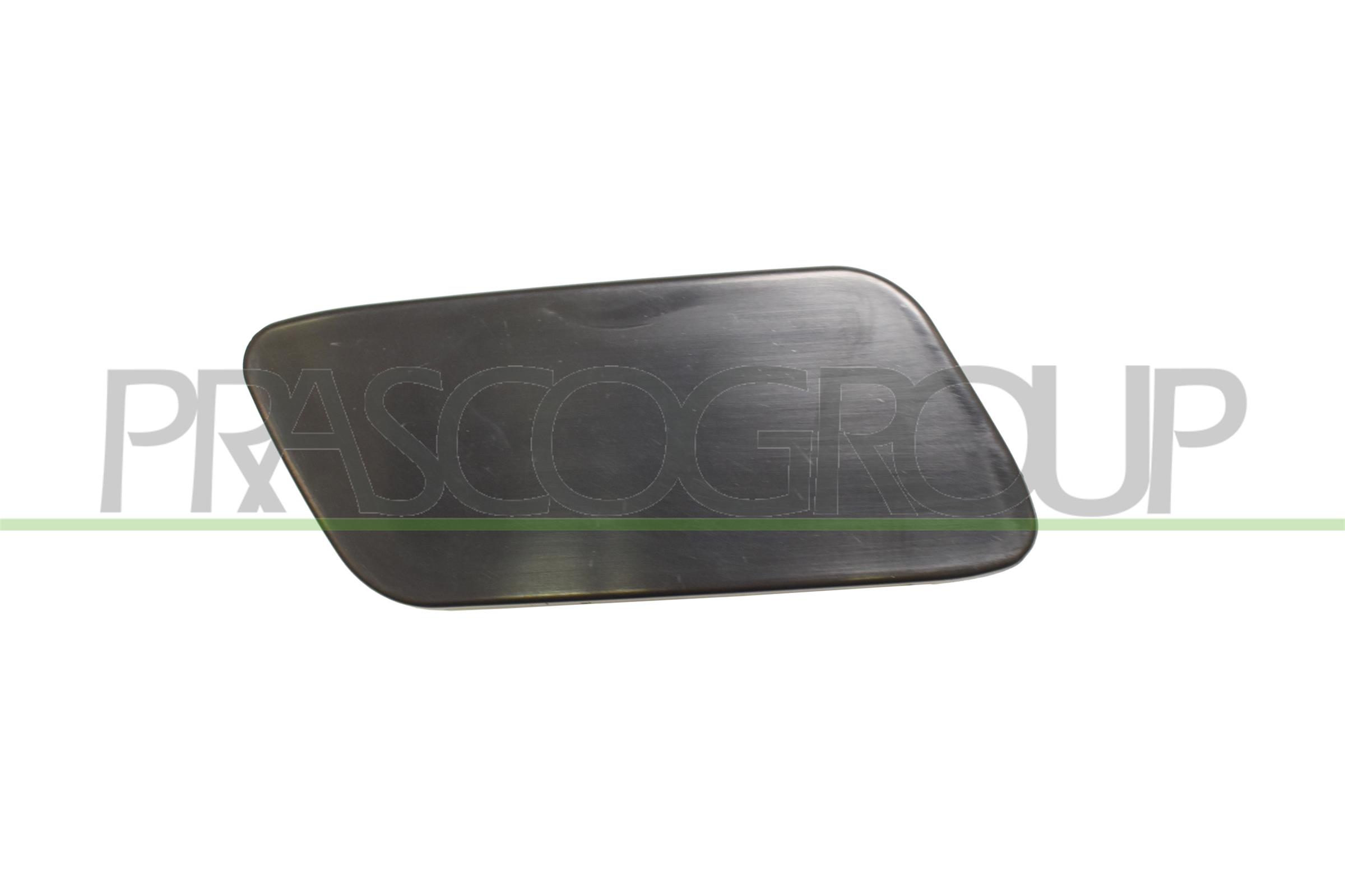 Mostrina, paraurti PRASCO VG0551237