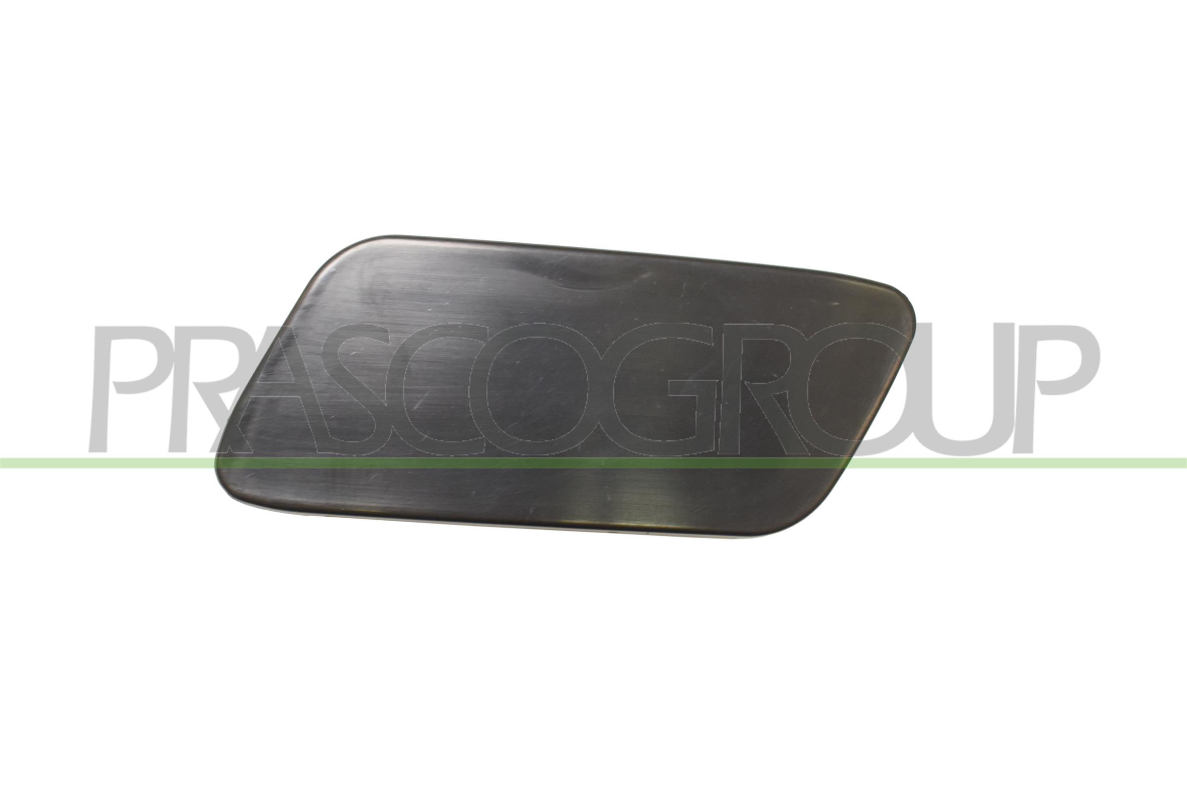 Mostrina, paraurti PRASCO VG0551238