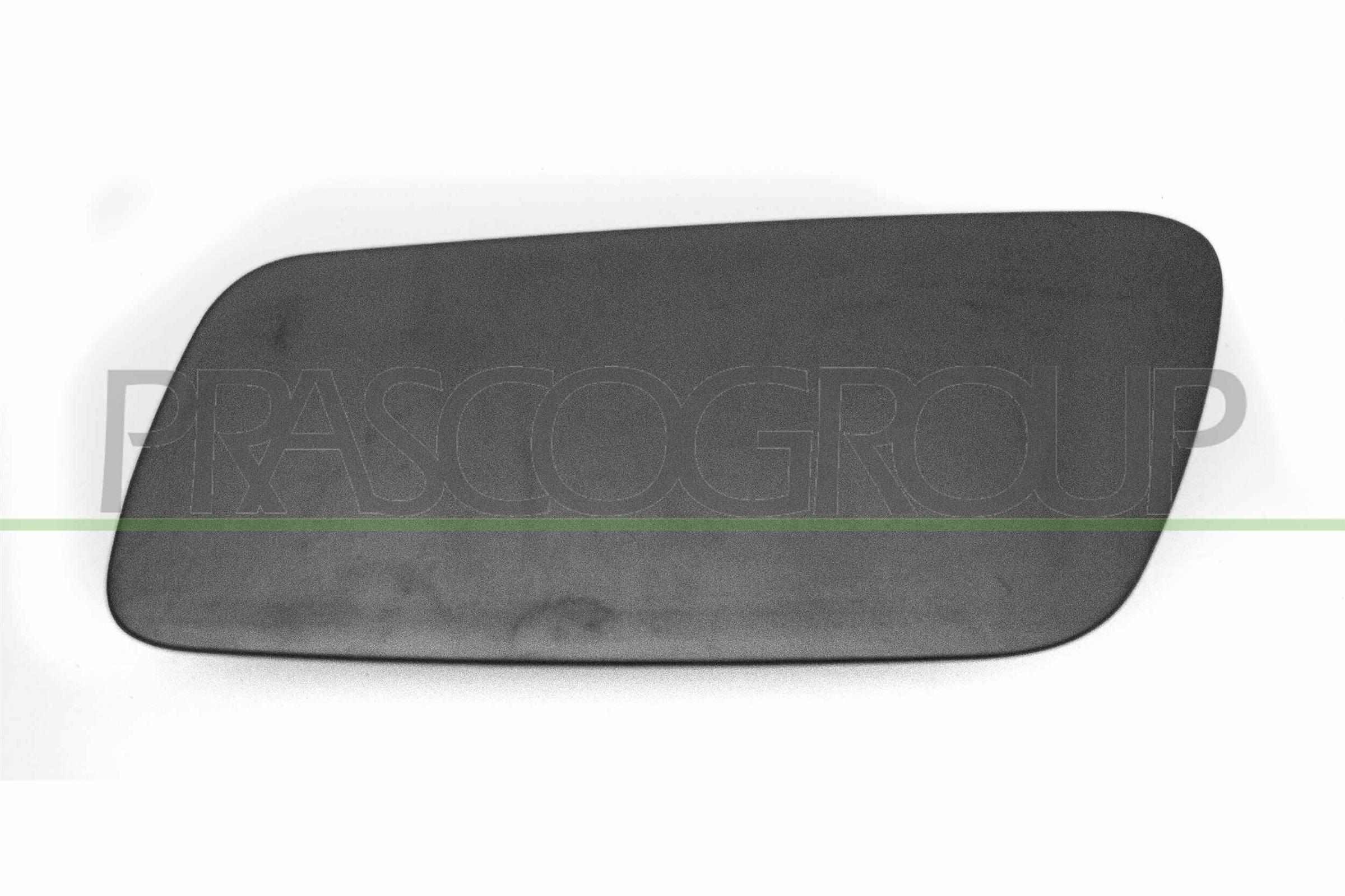 Mostrina, paraurti PRASCO VV6001238