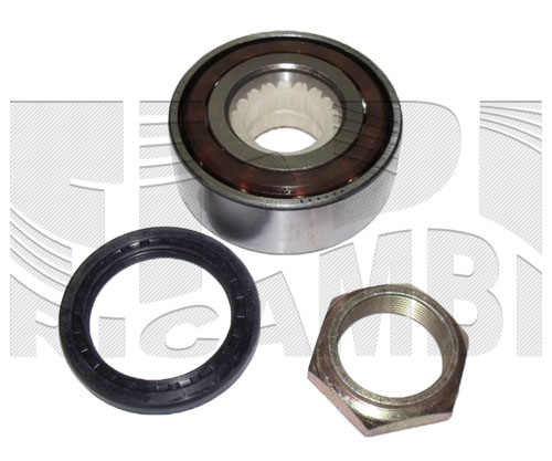 KIT RUOTA POST. RENAULT KANGOO 1.2-1.4-1