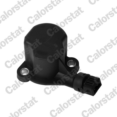 Interruttore, luce di retromarcia CALORSTAT BY VERNET RS5558