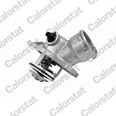 Termostato, refrigerante CALORSTAT BY VERNET TE7091.100J