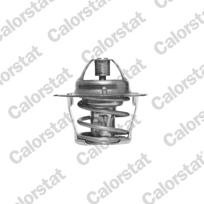 Termostato, refrigerante CALORSTAT BY VERNET TH1248.80J