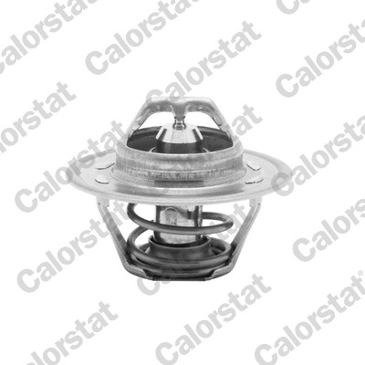 Termostato, refrigerante CALORSTAT BY VERNET TH1290.85J