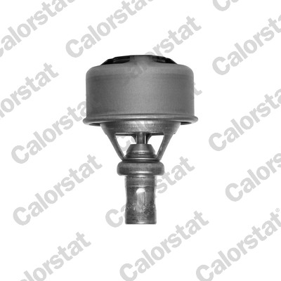 Termostato, refrigerante CALORSTAT BY VERNET TH4495.89