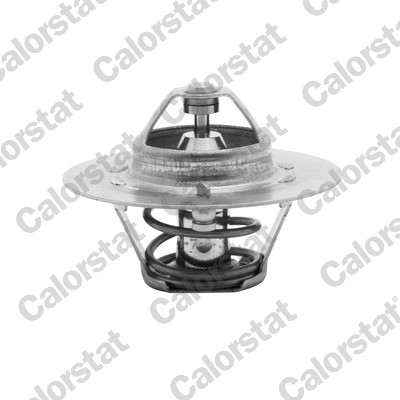 Termostato, refrigerante CALORSTAT BY VERNET TH4608.80J