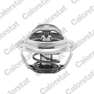 Termostato, refrigerante CALORSTAT BY VERNET TH4885.89J