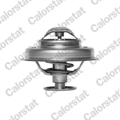 Termostato, refrigerante CALORSTAT BY VERNET TH4945.89J