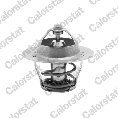Termostato, refrigerante CALORSTAT BY VERNET TH5075.82J