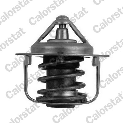 Termostato, refrigerante CALORSTAT BY VERNET TH5076.82J