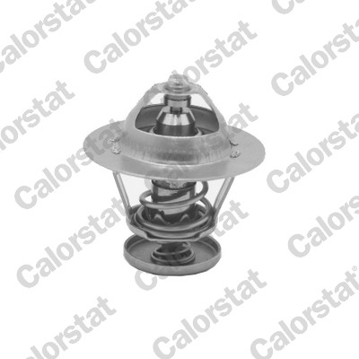 Termostato, refrigerante CALORSTAT BY VERNET TH5077.88J