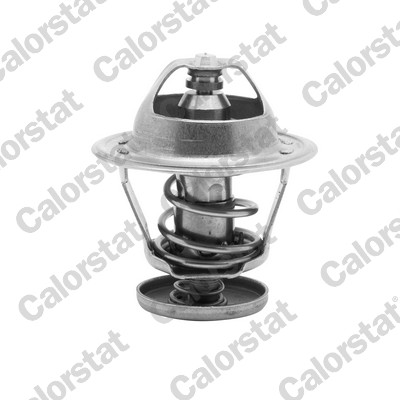 Termostato, refrigerante CALORSTAT BY VERNET TH5079.82J