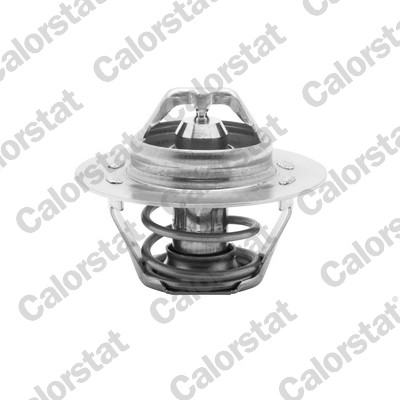 Termostato, refrigerante CALORSTAT BY VERNET TH5108.89J