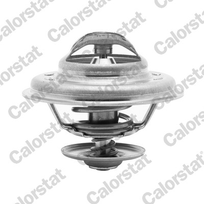 Termostato, refrigerante CALORSTAT BY VERNET TH5111.80J