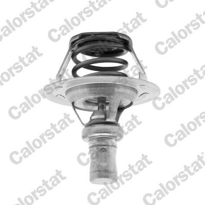 Termostato, refrigerante CALORSTAT BY VERNET TH5284.86J