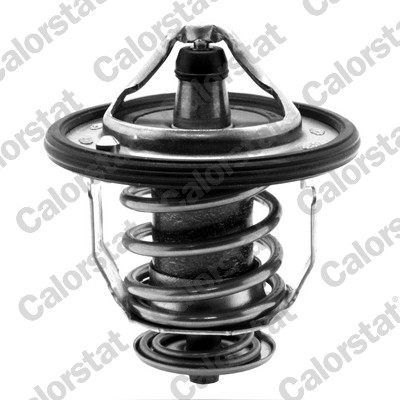 Termostato, refrigerante CALORSTAT BY VERNET TH5434.82J