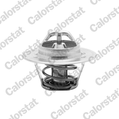 Termostato, refrigerante CALORSTAT BY VERNET TH5504.88J