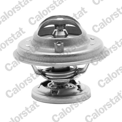 Termostato, refrigerante CALORSTAT BY VERNET TH5699.80J