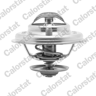 Termostato, refrigerante CALORSTAT BY VERNET TH5902.87J