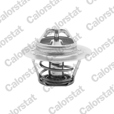 Termostato, refrigerante CALORSTAT BY VERNET TH5955.88J