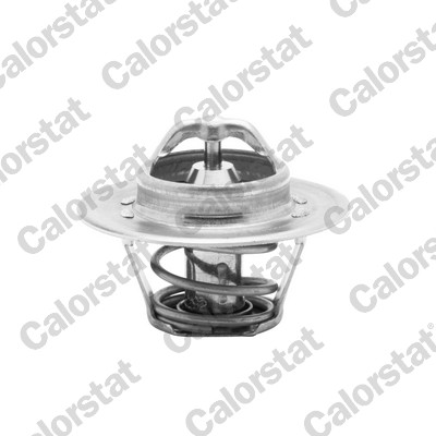Termostato, refrigerante CALORSTAT BY VERNET TH5962.88J