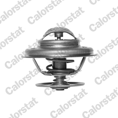 Termostato, refrigerante CALORSTAT BY VERNET TH5963.80J