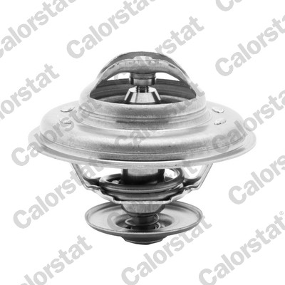 Termostato, refrigerante CALORSTAT BY VERNET TH5968.87J
