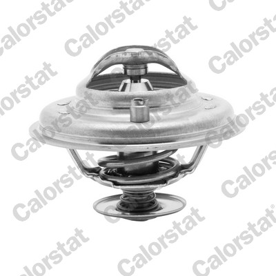 Termostato, refrigerante CALORSTAT BY VERNET TH5973.80J