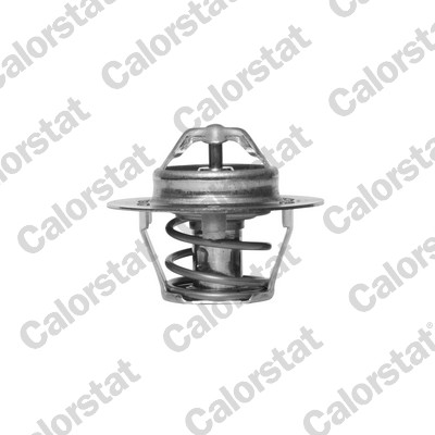 Termostato, refrigerante CALORSTAT BY VERNET TH5977.88J