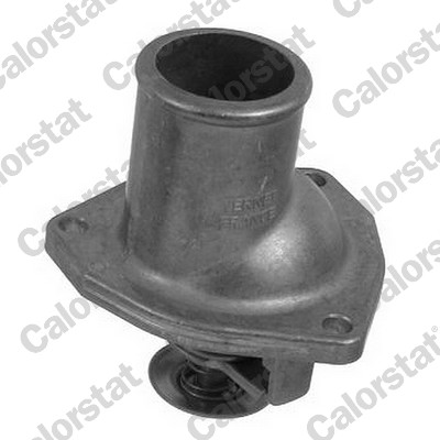 Termostato, refrigerante CALORSTAT BY VERNET TH5979.92J