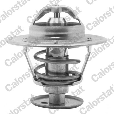 Termostato, refrigerante CALORSTAT BY VERNET TH5981.89J
