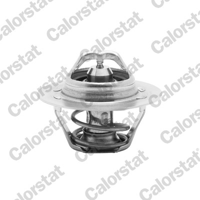 Termostato, refrigerante CALORSTAT BY VERNET TH6045.83J