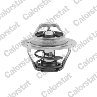 Termostato, refrigerante CALORSTAT BY VERNET TH6047.89J