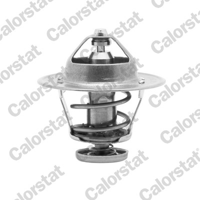 Termostato, refrigerante CALORSTAT BY VERNET TH6252.82J