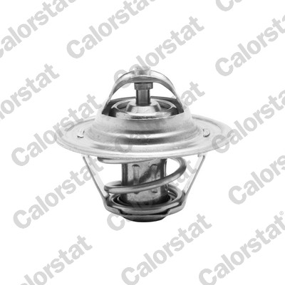 Termostato, refrigerante CALORSTAT BY VERNET TH6276.87J