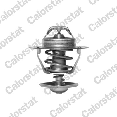 Termostato, refrigerante CALORSTAT BY VERNET TH6293.82J