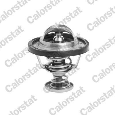 Termostato, refrigerante CALORSTAT BY VERNET TH6295.82J