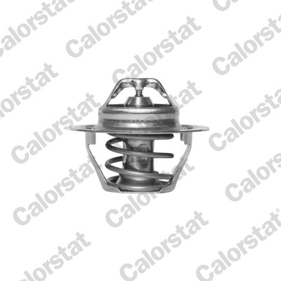 Termostato, refrigerante CALORSTAT BY VERNET TH6310.88J