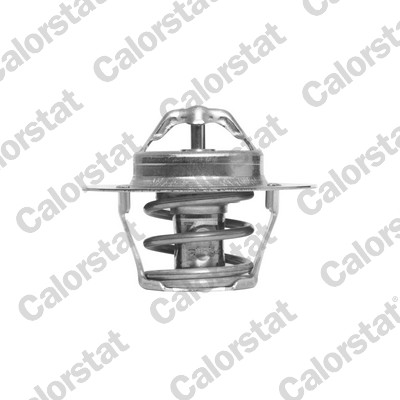 Termostato, refrigerante CALORSTAT BY VERNET TH6318.89J