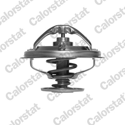 Termostato, refrigerante CALORSTAT BY VERNET TH6497.85J