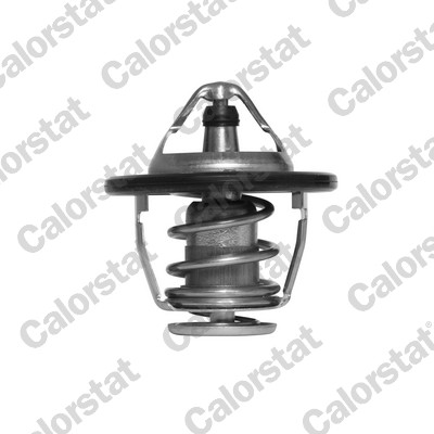 Termostato, refrigerante CALORSTAT BY VERNET TH6520.82J