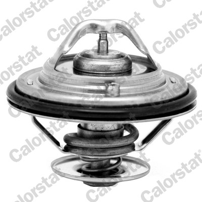 Termostato, refrigerante CALORSTAT BY VERNET TH6529.87J