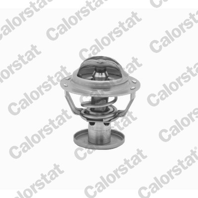 Termostato, refrigerante CALORSTAT BY VERNET TH6578.87J