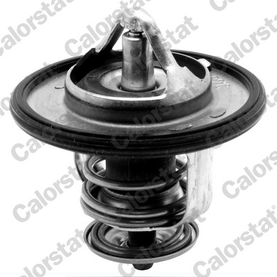 Termostato, refrigerante CALORSTAT BY VERNET TH6587.87J