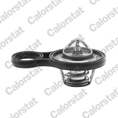 Termostato, refrigerante CALORSTAT BY VERNET TH6843.91J