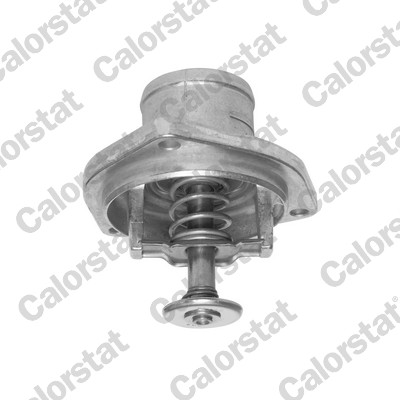 Termostato, refrigerante CALORSTAT BY VERNET TH6849.80J