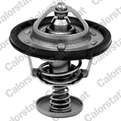 Termostato, refrigerante CALORSTAT BY VERNET TH6870.82J