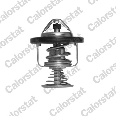 Termostato, refrigerante CALORSTAT BY VERNET TH6876.80J