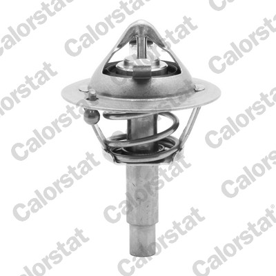 Termostato, refrigerante CALORSTAT BY VERNET TH6962.90J