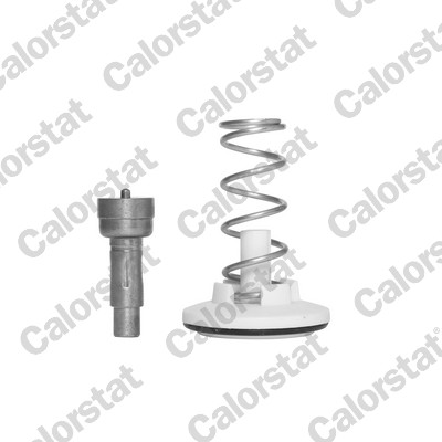 Termostato, refrigerante CALORSTAT BY VERNET TH6965.87